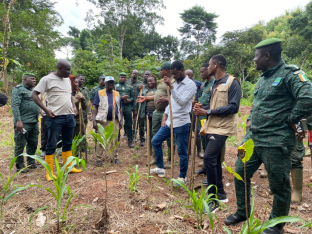 Renforcement des capacités des agents de la SODEFOR et ADC sur l’agroforesterie à Duékoué