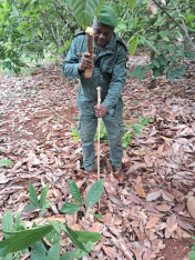 Sensibilisation des communautés sur le piquetage forestier