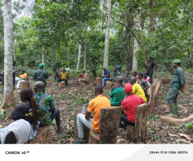 Sensibilisation-des-producteurs-de-cacao-sur-lagroforesterie