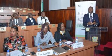 Atelier CCDR Assemblée Nationale Abidjan Legacy